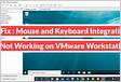 Fix Mouse and Keyboard Integration Not Working on VMware